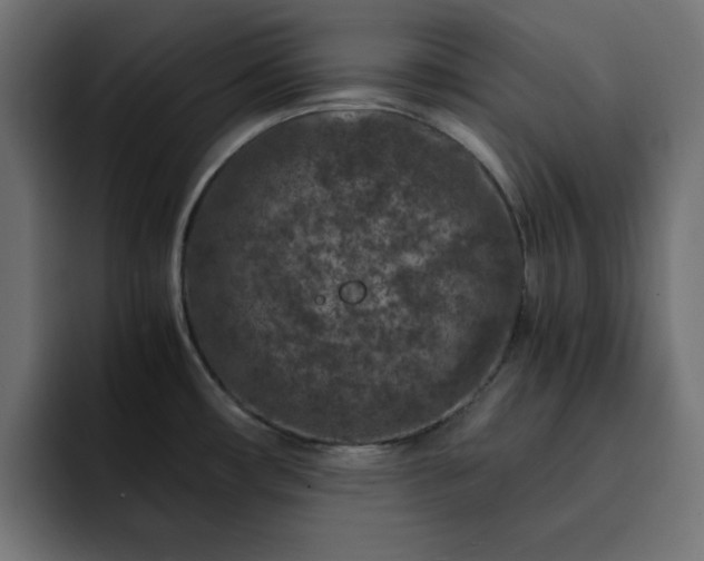 X0000093121482200710031325