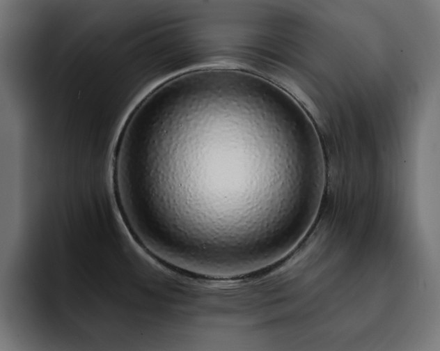 X0000093121484200710031325