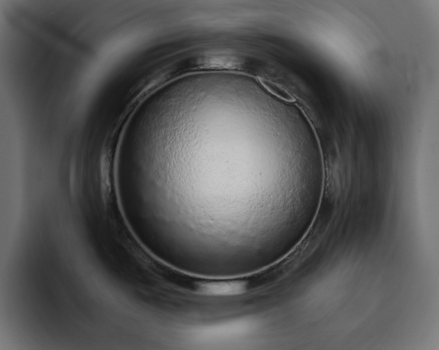 X0000093121487200710031325