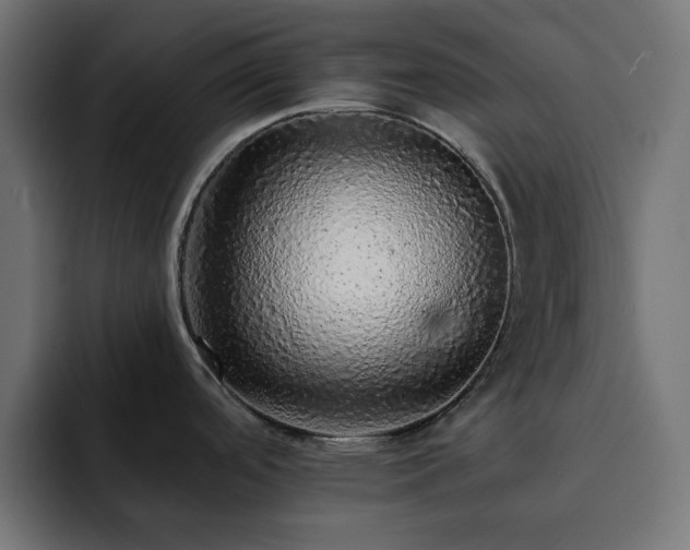 X0000093121488200710031325