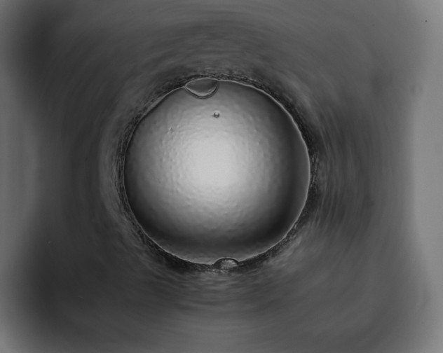 X0000093121489200710031324