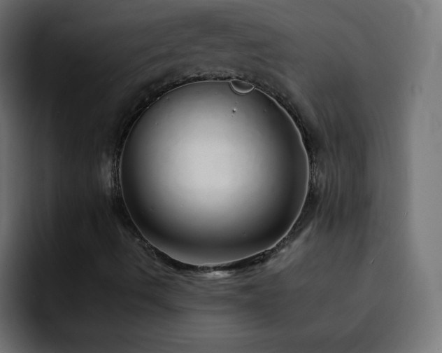 X0000093121490200710031324