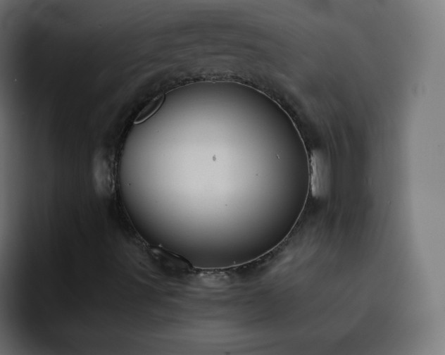 X0000093121491200710031324