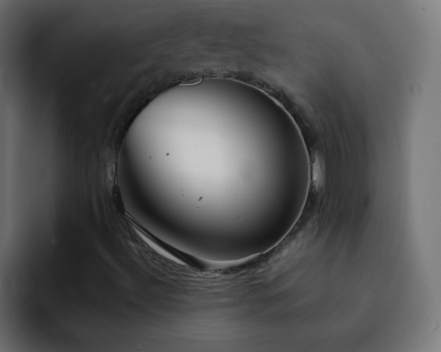 X0000093121492200710031324