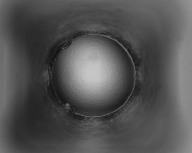 X0000093121493200710031324
