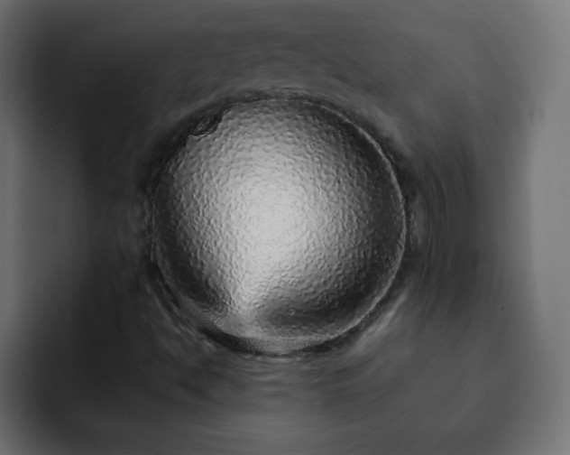 X0000093121494200710031324