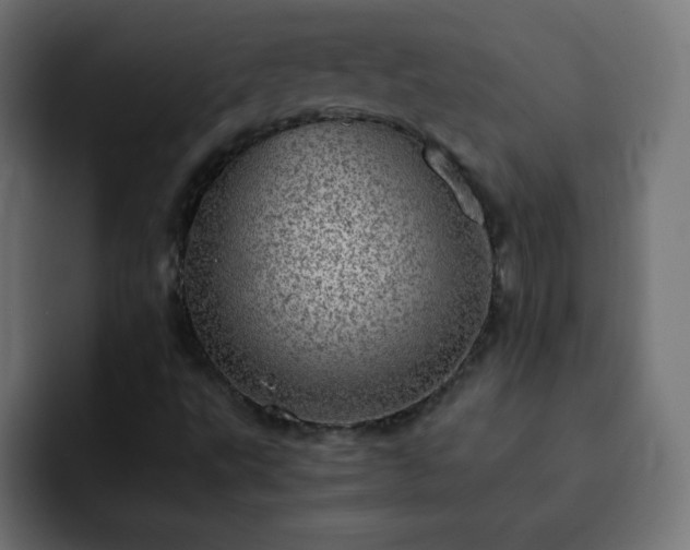 X0000093121495200710031324