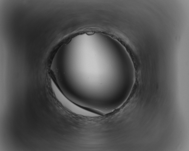 X0000093121496200710031324