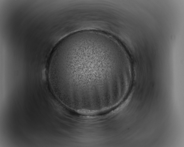 X0000093121497200710031324