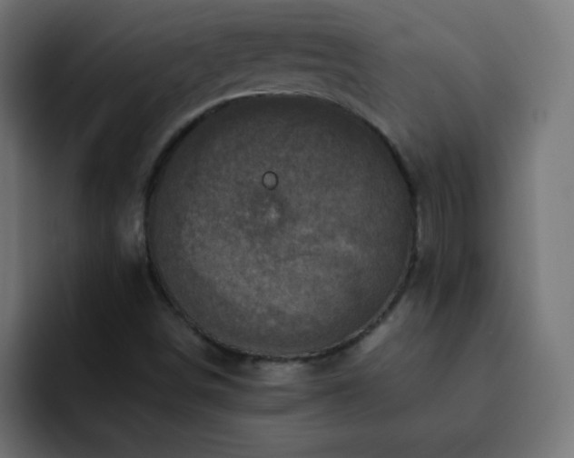 X0000093121498200710031324