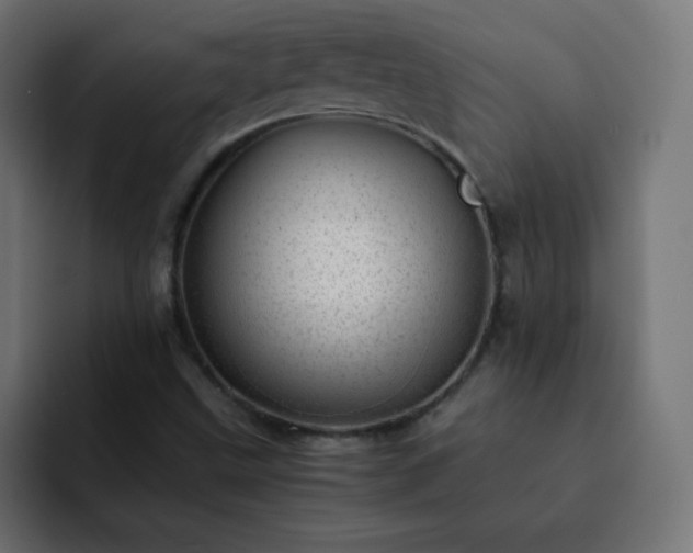 X0000093121499200710031324