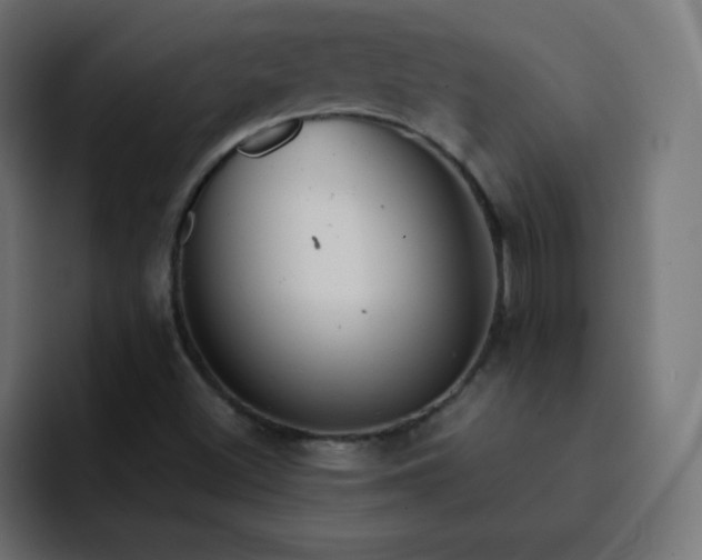 X0000093121500200710031324