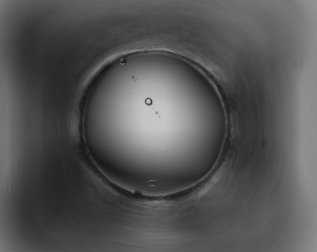 X0000093121502200710031324