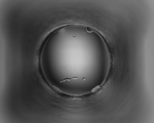 X0000093121503200710031324