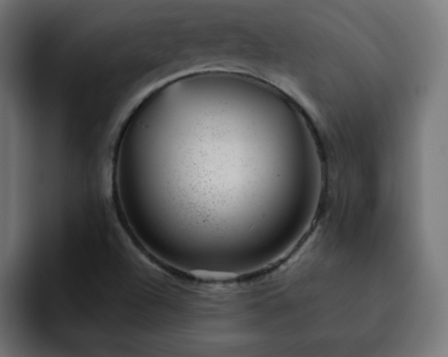 X0000093121504200710031324