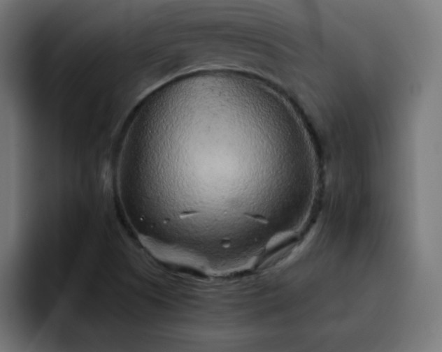 X0000093121505200710031324