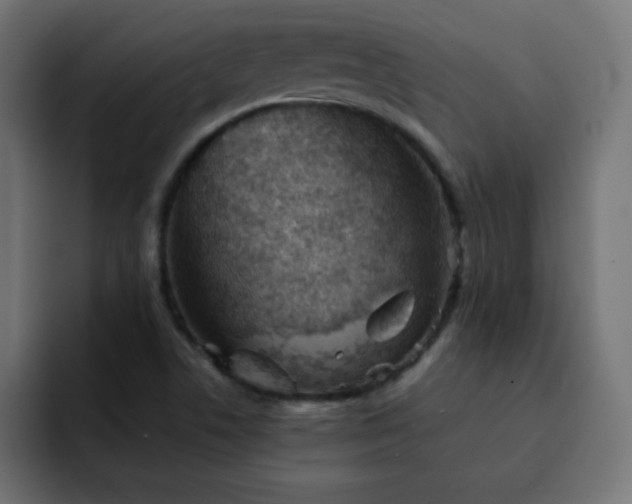X0000093121506200710031324