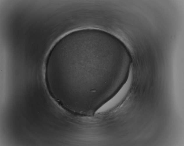 X0000093121508200710031324