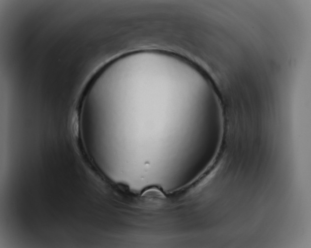 X0000093121509200710031324