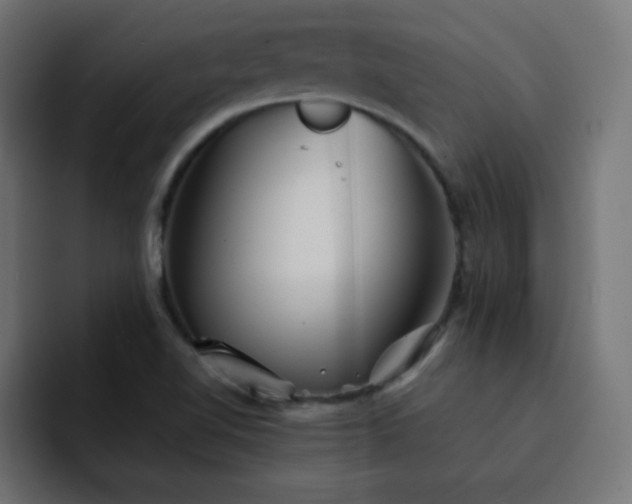 X0000093121510200710031325