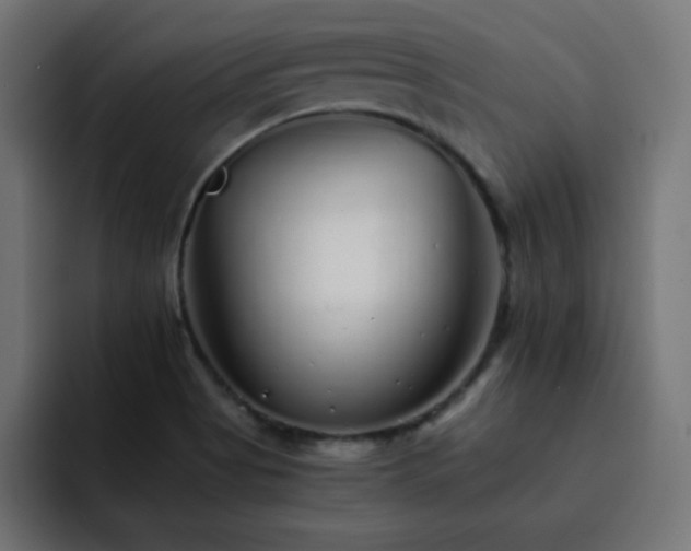 X0000093121513200710031325