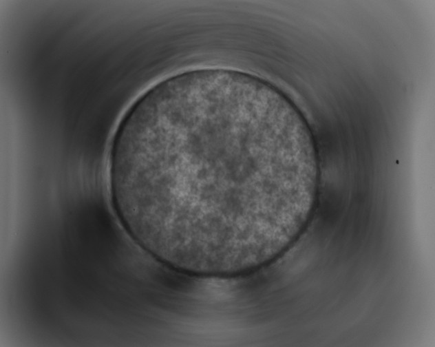 X0000093121514200710031325