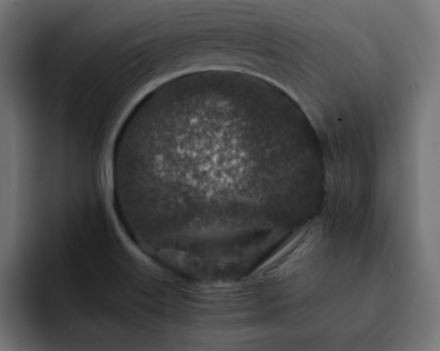 X0000093121515200710031325