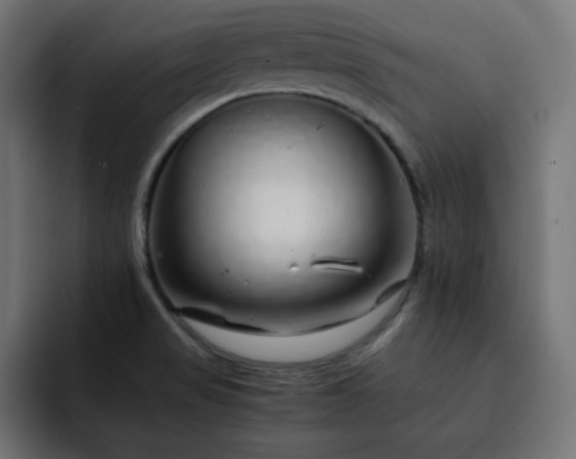 X0000093121517200710031325