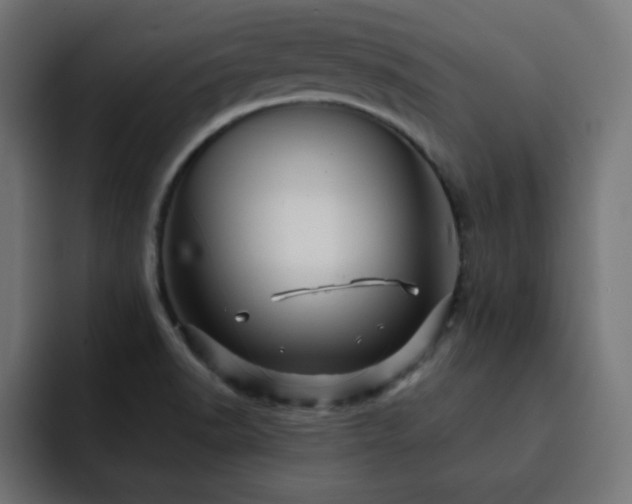 X0000093121518200710031325