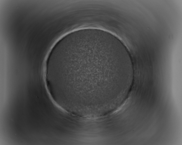 X0000093121519200710031325