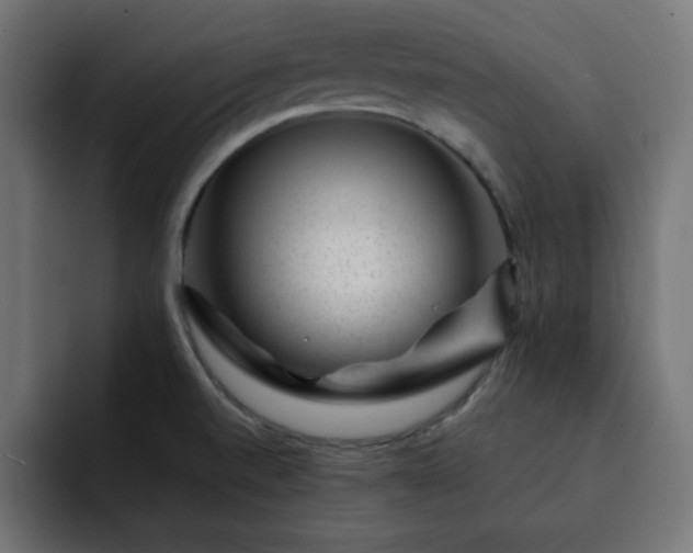 X0000093121520200710031325