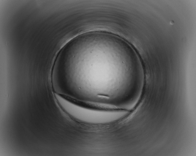 X0000093121521200710031325