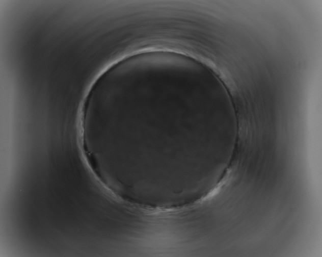 X0000093121522200710031325