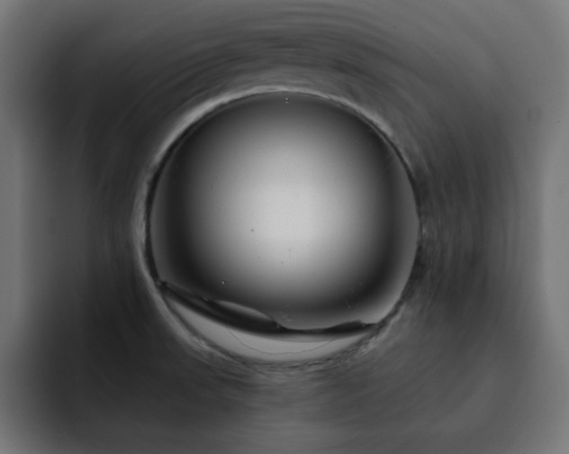 X0000093121523200710031325