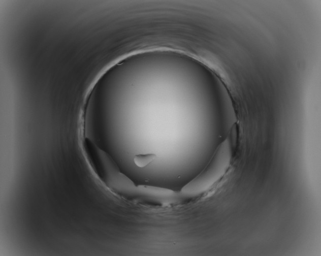 X0000093121524200710031325