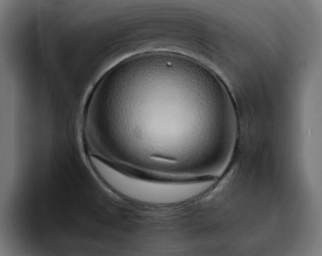 X0000093121525200710031325