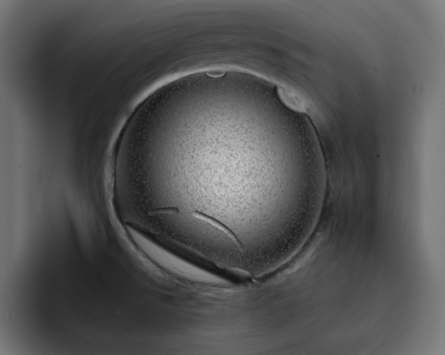 X0000093121526200710031325
