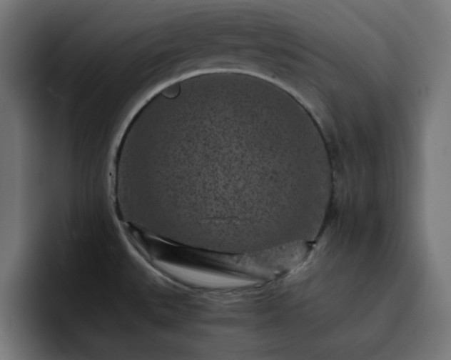 X0000093121527200710031325
