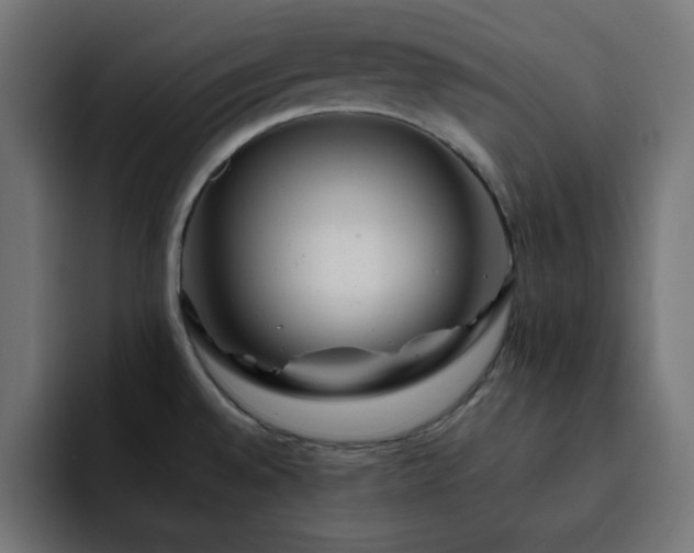 X0000093121528200710031325