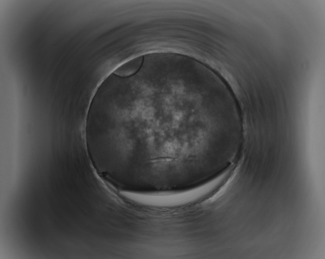 X0000093121529200710031325