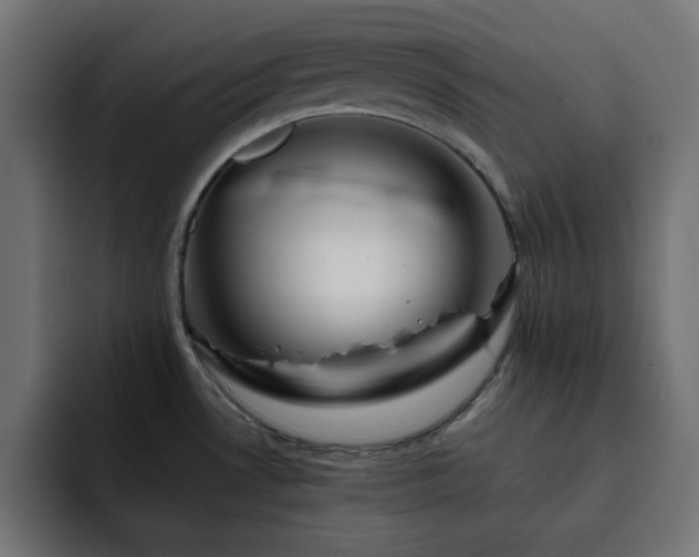 X0000093121530200710031325