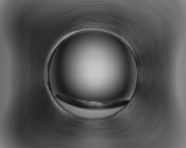 X0000093121531200710031325