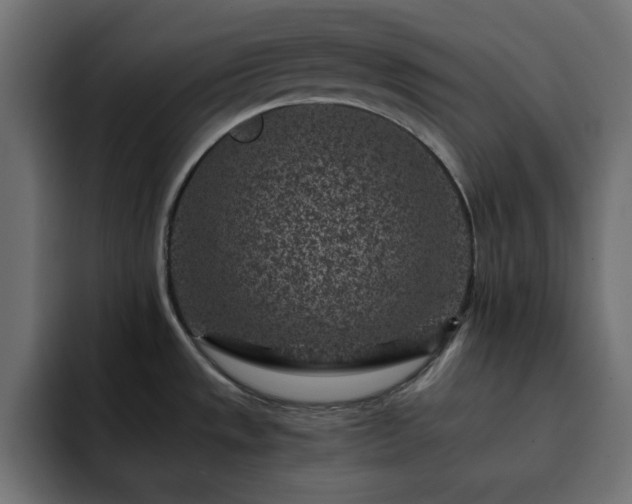 X0000093121533200710031325