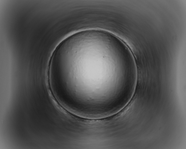 X0000093121534200710031325