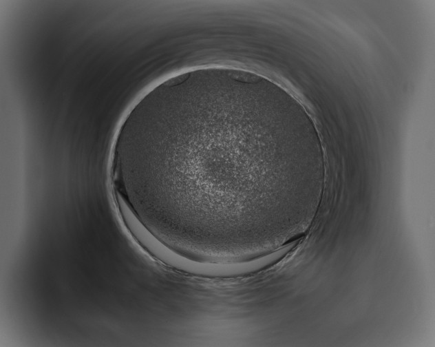 X0000093121536200710031325