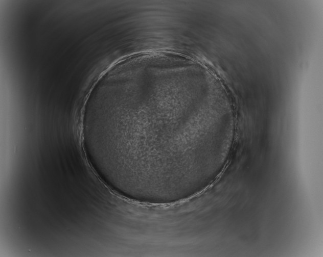 X0000093120002200710101049