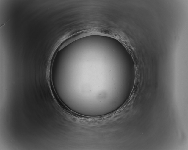 X0000093120003200710101049