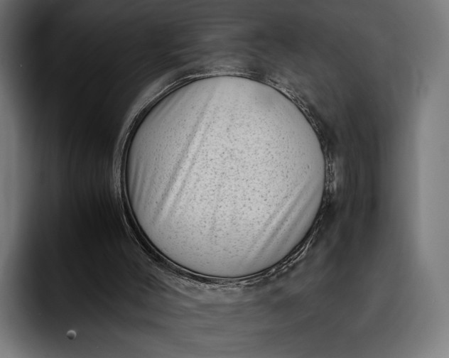 X0000093120004200710101049