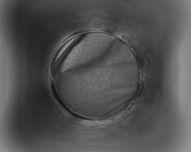 X0000093120005200710101049