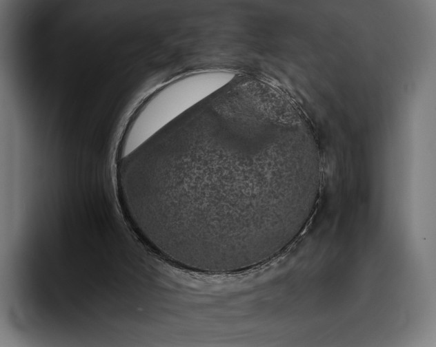 X0000093120006200710101049